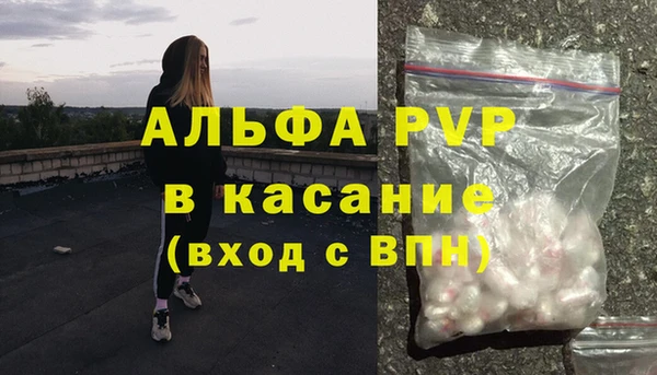 ПСИЛОЦИБИНОВЫЕ ГРИБЫ Инсар